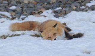 地铁跑酷如何改雪地