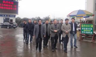 温州菜篮子 温州菜篮子