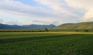 香格里拉印象 香格里拉印象