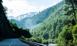 神经侠侣片尾曲 神经侠侣片尾曲