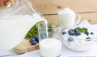 目前中国最好的牛奶