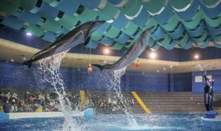 南京海底世界门票价格 南京海底世界门票价格